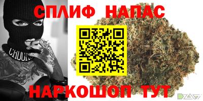 крисы Коммунар