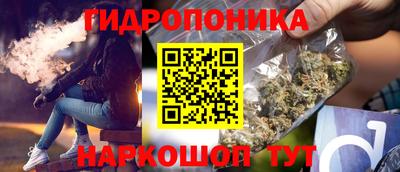 крисы Коммунар