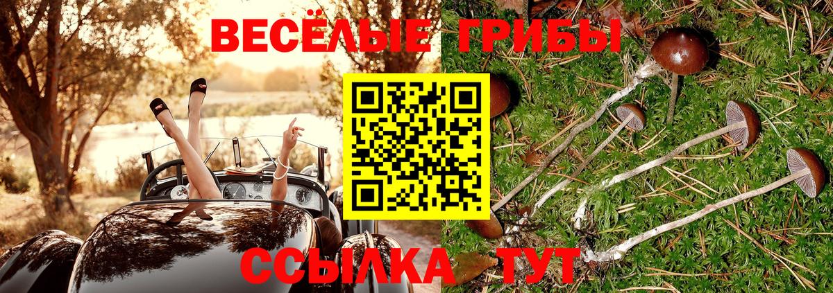 Бошки Шишки  Конопля  Кирово-Чепецк  КОКАИН  ГАШ  Меф кристаллы  Вход с VPN 